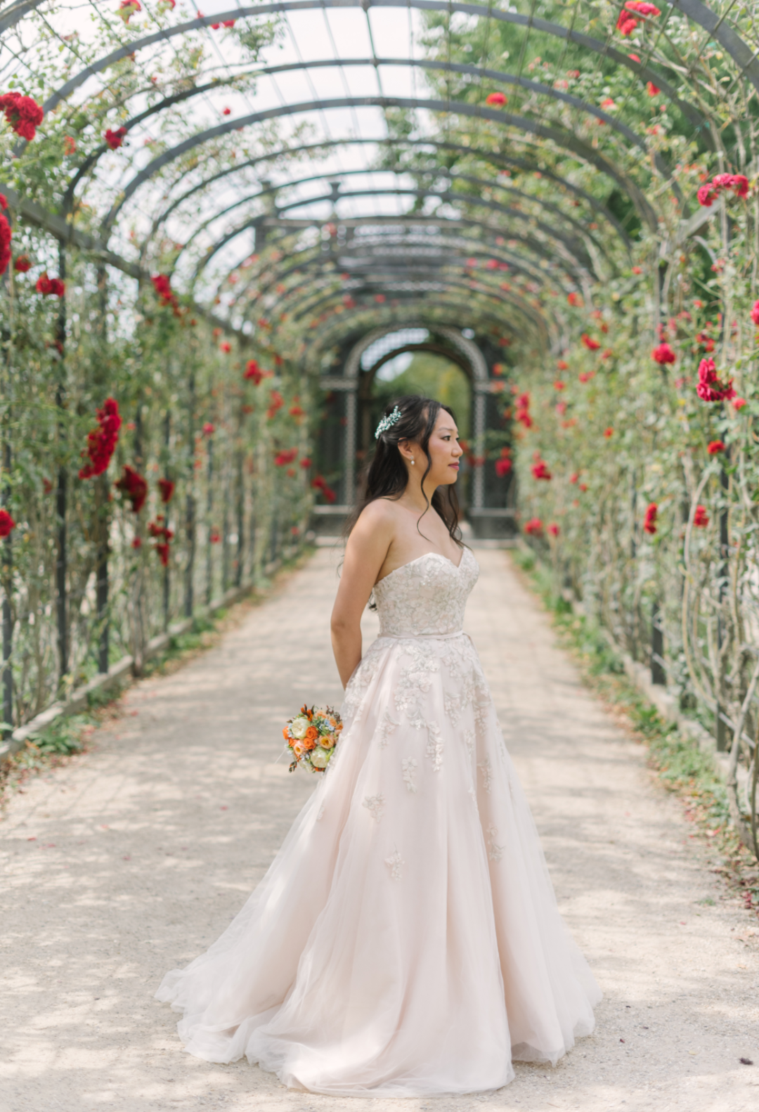 Gallery Image #slidesGrid1