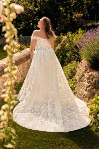 Envy by Phoenix Layla PH8214 Layla PH8214 #1 Ivory thumbnail